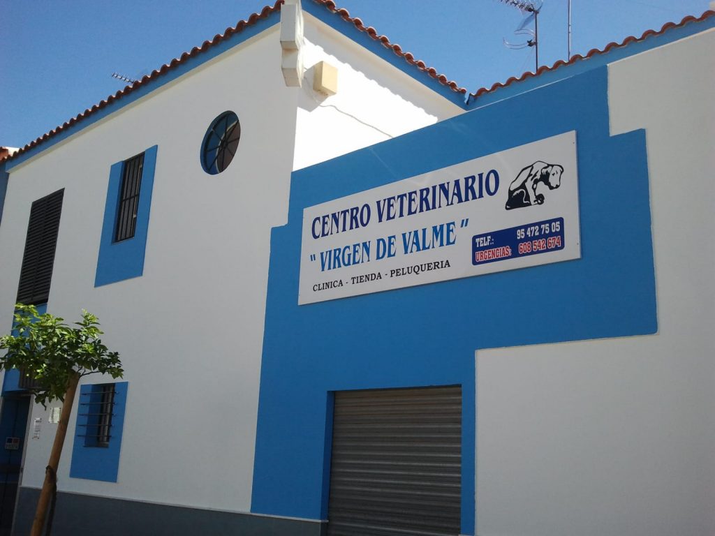 mejores clínicas veterinarias de Sevilla