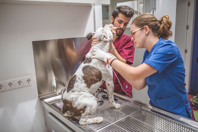 La Sevilla Veterinary Clinic